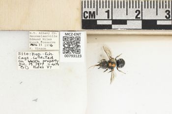 Media type: image;   Entomology 793123 Aspect: Labels